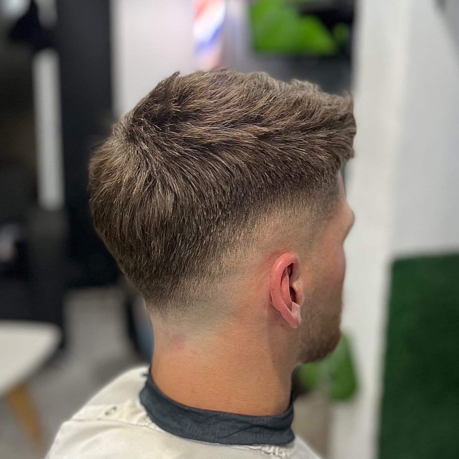 Corte